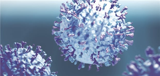 Zahl der Influenza-Infektionen steigt Abbildung von Viren