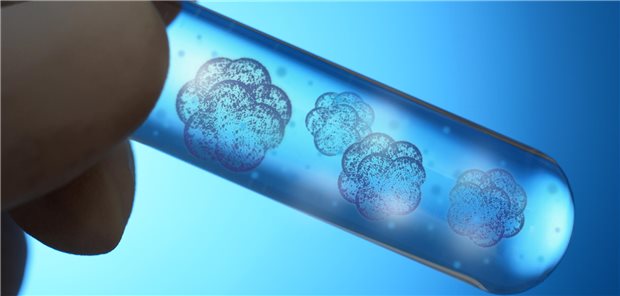 Regenerative Copd Therapie Mit K Rpereigenen Stammzellen Erfolgreich