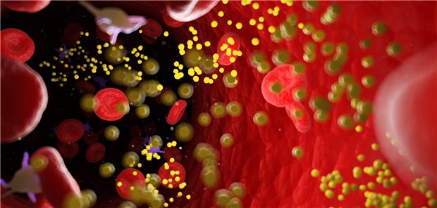 Wann die Lipoprotein(a)-Messung wirklich sinnvoll ist Blick in ein Blutgfäß. Es schwimmen mehrere Moleküle umher.