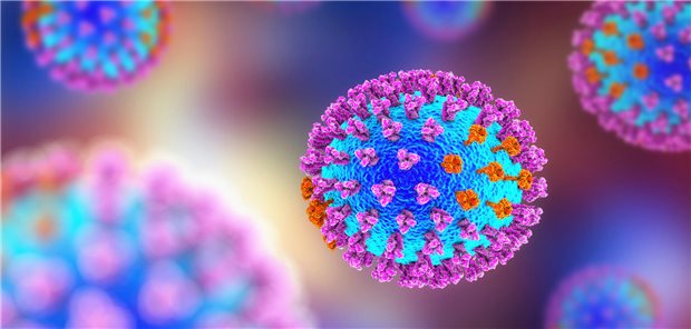 3D-Darstellung, Influenza-Viren: Oberflächenglykoproteine mit Hämagglutinin (lila) und Neuraminidase (orange).