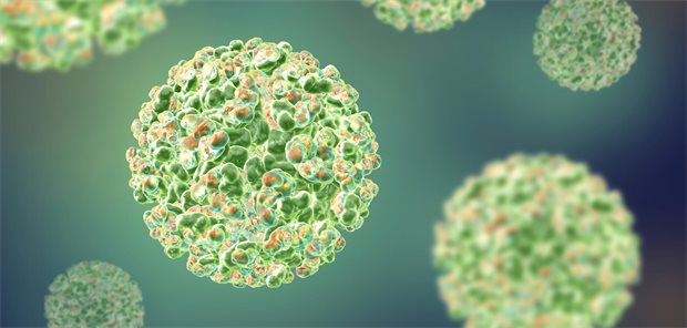 Erster Nachweis von Sindbis-Fieber in Deutschland 3D-Illustration eines Sindbis-Virus.