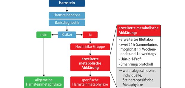 Urolithiasis: Metaphylaxe kann hohe Rezidivrate deutlich senken Abb. 1: Diagnostik bei Harnsteinen: Prozedere bei Hochrisiko-Gruppe
