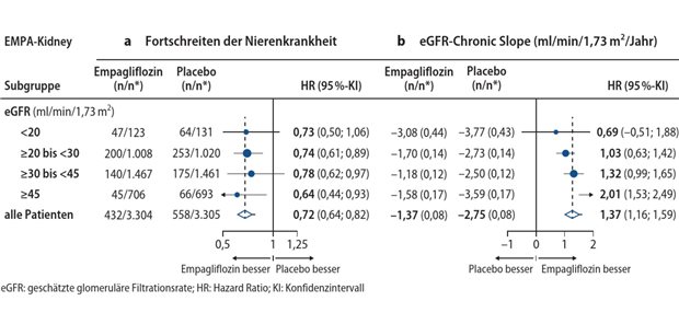 SGLT2-Inhibition: Nephroprotektiv auch bei stark erniedrigter eGFR Abb. 1: Empagliflozin reduzierte auch bei niedriger Ausgangs-eGFR die Progression der chronischen Nierenkrankheit (Test für Heterogenität/Trend: a) 12=0,06, p=0.81; b) 12=6,31, p=0,012)