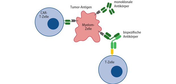 Abb. 1: Immunonkologische Präzisionsonkologie beim multiplen Myelom (Quelle: Janssen-Cilag GmbH)