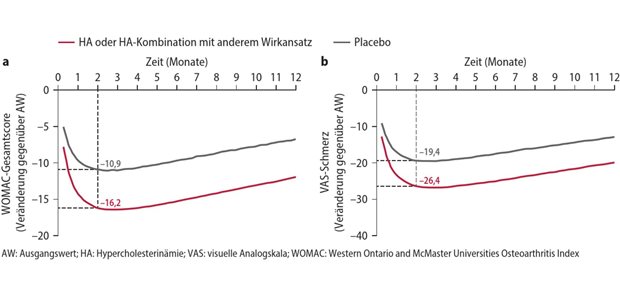 Aktuelle Evidenz zur Wirksamkeit der intraartikulären Hyaluronsäure Abb. 1: Veränderung gegenüber dem Ausgangswert im WOMAC-Gesamtscore (a) und im VAS-Schmerz (b) nach zwei Monaten und im weiteren Verlauf
