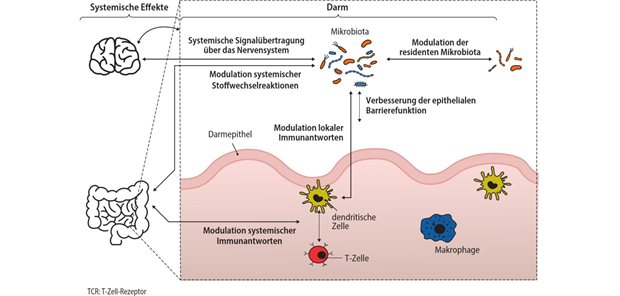 Abb. 2: Postulierte Mechanismen von Postbiotika und Beispiele von Effektormolekülen, die von ihnen verwendet werden