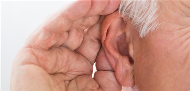 Altersbedingter Hörverlust: Ursache ist eine Degeneration der Cochlea. Verstärkt wird der Prozess vermutlich durch Entzündungen und mikrovaskuläre Veränderungen.