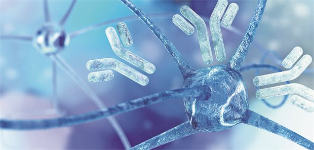 Amyloid-Antikörper stabilisieren Alzheimer-Demenz wohl über ein Jahr hinweg Antikörper binden an eine Nervenzelle