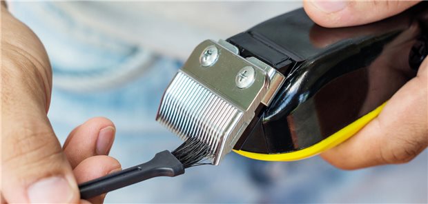 Kontaminierte Haarschneidemaschinen können Pilzinfektionen hervorrufen Eine Person reinigt mit einer Bürste eine elektrische Haarschneidemaschine.