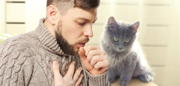 Exazerbationen trotz Asthma-Therapie: Was dann nötig ist Junger Mann mit Asthma-Exazerbation. Im Hintergrund ist eine Katze zu sehen.