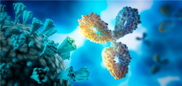 Breit neutralisierende Antikörper gegen HIV: Wie weit weg ist eine Impfung? Antikörper und Virus – in breit neutralisierende Antikörper als Therapieoption gegen das HI-Virus werden große Hoffnungen gesetzt.