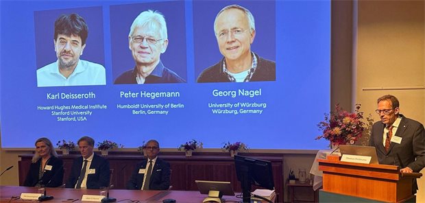 Optogenetik: Medizin-Nobelpreis geht an zwei deutsche und einen US-Forscher Bekanntgabe der Nobelpreisträger für Physiologie oder Medizin in Stockholm