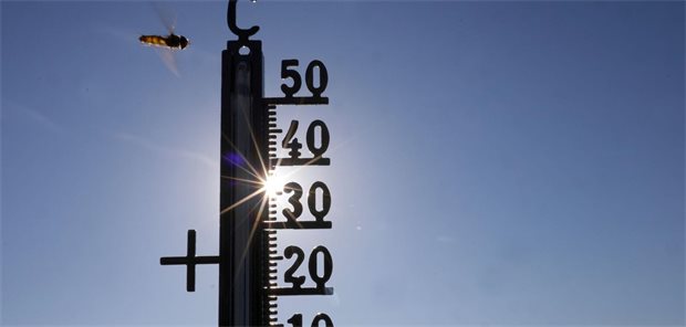 Vibrionen-Infektionen: Was es jetzt für Ärzte zu beachten gibt Thermostat