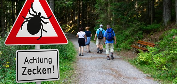 Wanderer in einem Zecken-Risikogebiet