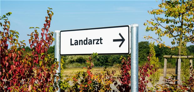 Wegweiser mit der Aufschrift &quot;Landarzt&quot;