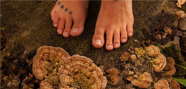 DMykG 2025: So dringt Bifonazol effektiv in die Nagelplatte ein DMykG 2025: So dringt Bifonazol effektiv in die Nagelplatte ein