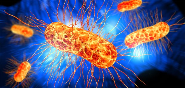 Neue Antibiotika-Studie entschlüsselt besonderen Wirkmechanismus Neue Antibiotika-Studie entschlüsselt besonderen Wirkmechanismus