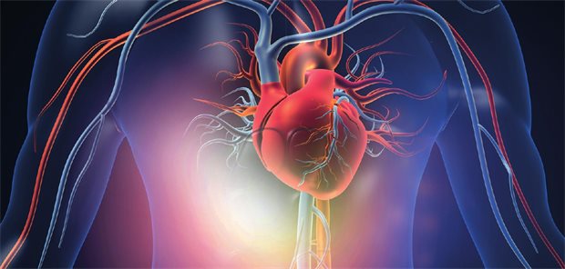 HFpEF: Diagnostik, Therapie und Monitoring für die tägliche Praxis HFpEF: Diagnostik, Therapie und Monitoring für die tägliche Praxis