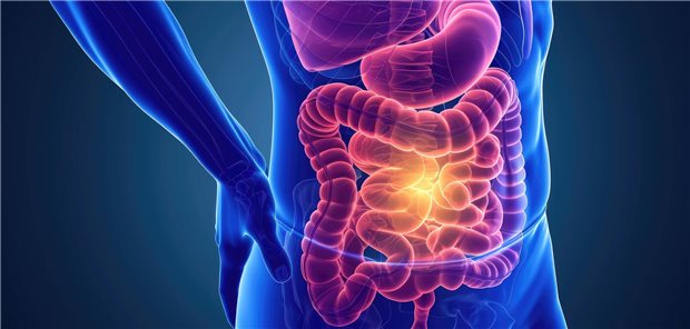 Crohn's disease Inflammatory bowel disease causing abdominal pain and digestive issues, AI Generated