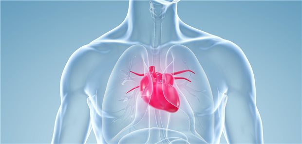 Das Herz im Fokus: Jede bzw. jeder zwölfte Deutsche erkrankt an der Koronaren Herzkrankheit.