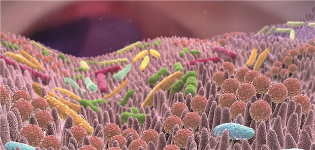 Wie Mikrobiom und Komedikation die Wirkung von Immuntherapien gegen Krebs beeinflussen Darstellung der Darmflora mit vielen verschiedenen Bakterien des Mikrobioms.