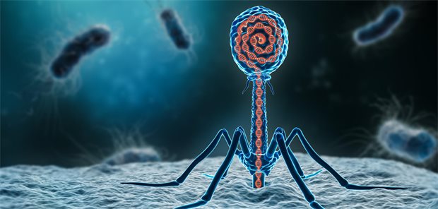 Phagentherapie bei bakteriellen Infektionen: Hilfe, wenn sonst nichts mehr hilft? 3D-Darstellung eines Bakteriophagen.