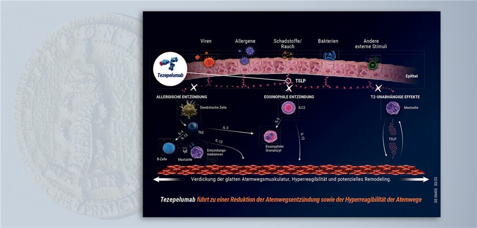 Tezspire – Neues Biologikum Bei Schwerem Unkontrolliertem Asthma