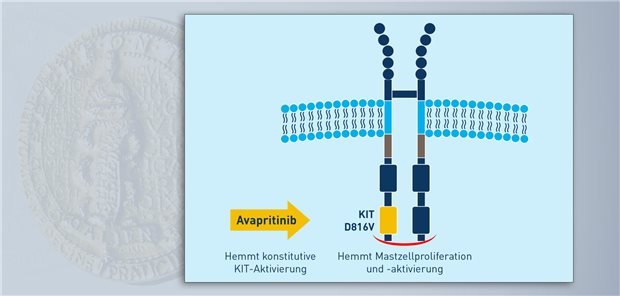 Der Typ-I-Inhibitor Avapritinib hemmt die konstitutiv aktive, mutierte Form von KIT (KIT-D816V). Dadurch wird die klonale Expansion von Mastzellen unterdrückt.