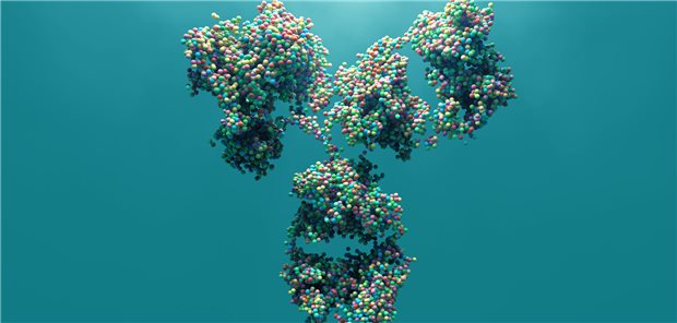 Die Autorinnen und Autoren resümieren, dass der anti-eosinophile, humanisierte, afucosylierte, monoklonale IgG1-Antikörper Benralizumab bei der zielgerichteten Therapie der eosinophilen Granulomatose mit Polyangiitis ebenso gut abgeschnitten wie Mepolizumab.