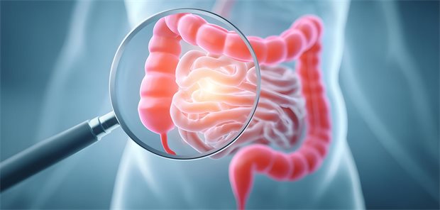 Morbus Crohn: Biologika senken das Rezidivrisiko nach Darmresektion Symbolbild eines Darms mit einer Lupe