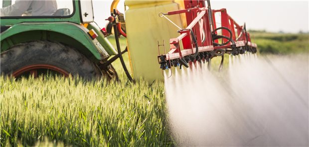 Ein Landwirt fährt mit seinem Traktor über ein Getreidefeld und sprüht Pestizide über die Ähren.