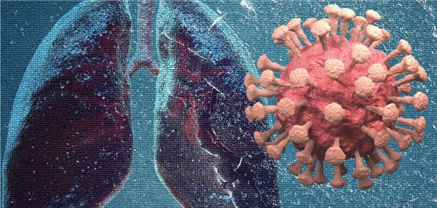 Abbild der Lunge und eines Coronaviruses