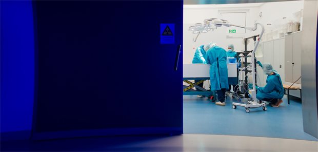 Kryokonservierung: Der Traum vom ewigen Leben Die Wissenschaftler arbeiten mit der Annahme, dass die Zellen nach dem „Auftauen“ ihre normalen physiologischen Prozesse wieder aufnehmen.