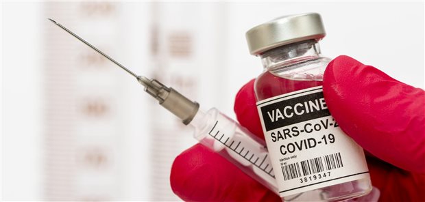 Die bivalenten mRNA-Impfstoffe schützen gegen alle SARS-CoV-2-Varianten. Deren Wirksamkeit hält jedoch nur sechs Monate lang an, so das Ergebnis einer Studie.