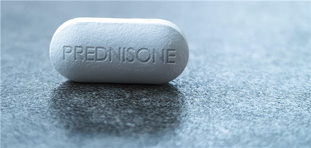 Mit Glukokortikoiden überbrücken? Studie stützt europäische Rheuma-Leitlinie Nahaufnahme einer Prednison-Tablette einem Glukokortikoid-Medikament zur Unterdrückung des Immunsystems bei Asthma, COPD und rheumatologischen Erkrankungen.
