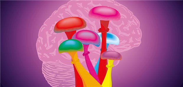 Psilocybin bei schwer therapierbaren Depressionen: Wirksam, aber kein Wundermittel Verschieden große Pilze stehn im Vordergrund. Ein Gehirn ist dahinter zu sehen.