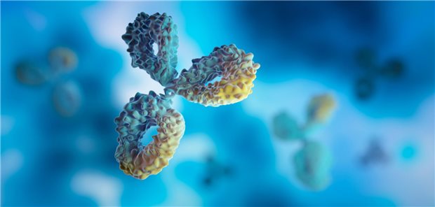 Studie: CGRP-Antikörper Fremanezumab lindert Migräne bei Kindern und Jugendlichen Dreidimensionale Illustration eines Antikörper.