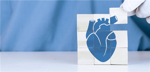 Vericiguat und Eisen – Herzinsuffizienz-Therapie abseits der „fantastischen Vier“ Eine schnelle Diagnosestellung und Therapieinitiierung ist für Erkrankte mit Herzinsuffizienz und reduzierter Ejektionsfraktion essenziell.