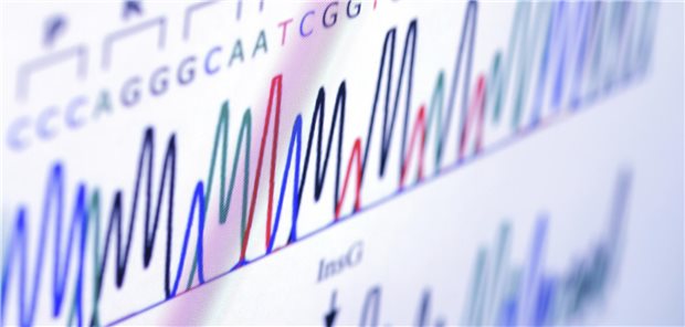 Gesucht: Implementierungsstrategien für tumoragnostische Therapien Das Bild einer Genanalyse