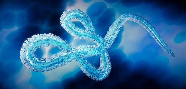 Ebolaviren: So steht es um Impfungen und therapeutische Fortschritte Ebolavirus