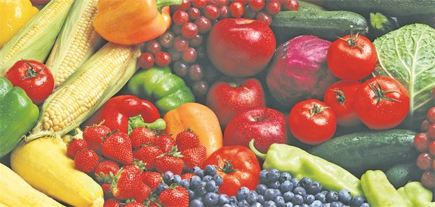 Ernährungsmedizin: Hilft ein „Werkzeugkasten“ dabei, Patienten besser zu motivieren? Obst und Gemüse