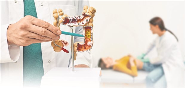 Gastroenterologinnen und Gastroenterologen sehen sich für viele ihrer Patienten als Primärarzt.