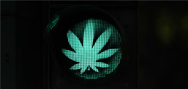 Parteien üben weiter Kritik an Lauterbachs Cannabis-Gesetz