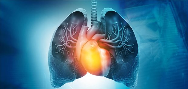 Die COPDGene-Forschungsgruppe resümiert, dass COPD-Exazerbationen mit einem erhöhten Risiko von kardiovaskulären Folgekomplikationen verknüpft sind, und zwar bei Patienten mit und ohne vorbestehenden Herz- oder Gefäßerkrankungen. Patienten mit COPD, die häufige Exazerbationen erlitten, müssten dementsprechend sorgfältig überwacht und zusätzlich versorgt werden.