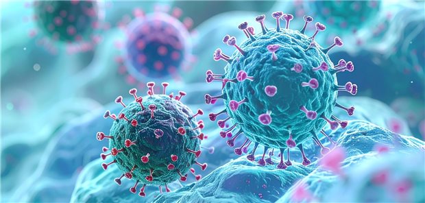 RSV aktuell häufigster Auslöser akuter Atemwegserkrankungen Illustration eines Respiratorischen Synzytialvirus (RSV) auf Epithel der Atemwege. Aktuell zirkulieren unter den akuten Atemwegserregern vorrangig RSV, gefolgt von Influenza und SARS-CoV-2.