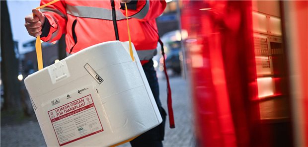 Zahl der Organspender erreicht höchsten Stand seit 2012 Box mit Organen