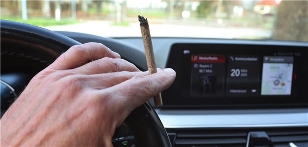 Neue Regeln zu Cannabis am Steuer gelten ab sofort Mann mit Joint im Auto