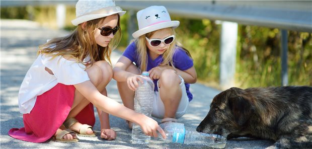 Reiseimpfung: Gerade Kinder brauchen Tollwutschutz Kinder suchen häufiger den Kontakt zu streunenden Hunden oder Wildtieren als Erwachsene. Gerade deshalb sollte bei Ihnen auf Schutz gegen Tollwut geachtet werden.