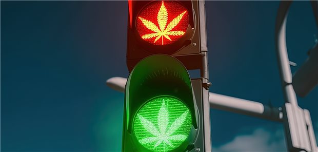 Gutachter sehen Grenzen bei Cannabis-Legalisierung Kollidiert der Kurs der Ampel bei der Legalisierung von Cannabis mit Europarecht? Die CSU zieht diese Schlussfolgerung aus einem Gutachten des Wissenschaftlichen Dienstes im Bundestag.