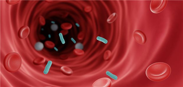 Neue Empfehlung in der Sepsis-Therapie Bakterien im Blutgefäß